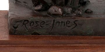 Joy Rose-Innes; Youth