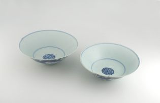 A pair of Chinese blue and white porcelain dishes, Qing Dynasty, 19th century