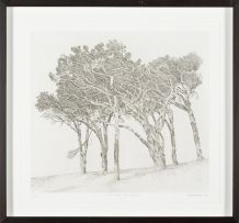 Anton Kannemeyer; Pine Trees Cape Town I; Pine Trees Cape Town II, two