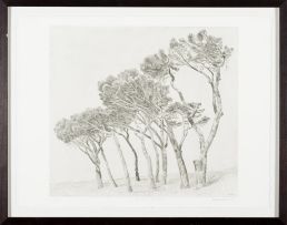 Anton Kannemeyer; Pine Trees Cape Town I; Pine Trees Cape Town II, two