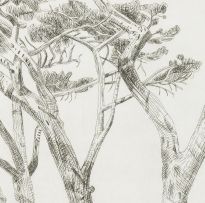 Anton Kannemeyer; Pine Trees Cape Town I; Pine Trees Cape Town II, two