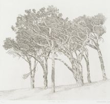 Anton Kannemeyer; Pine Trees Cape Town I; Pine Trees Cape Town II, two