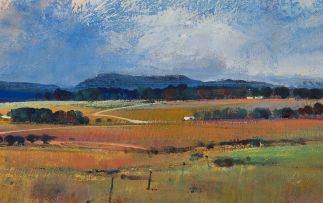 Derric van Rensburg; Farm Landscape