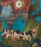 Catherine Paynter; Puppies for Sale