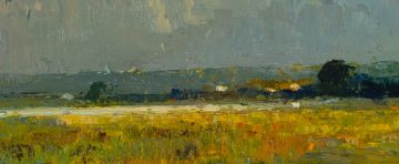Errol Boyley; Wetland at Dusk