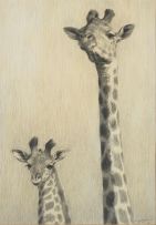 Dylan Lewis; Giraffe Sketch