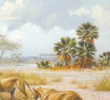 David Morrison Reid Henry; Lions in Gorongoza