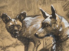 Dorothy Kay; Pack of Dogs
