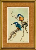 Heinrich von Michaelis; Pair of Half-collared Kingfishers