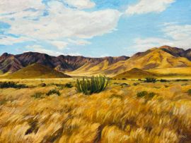 Walter Meyer; Namib, with Euphorbia