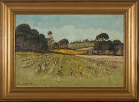 David Botha; Vineyard after Harvest