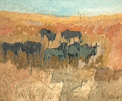 Gordon Vorster; Blue Wildebeest
