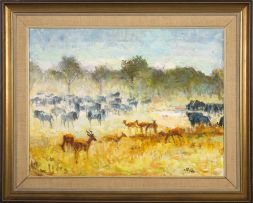 Zakkie Eloff; Impala and Wildebeest