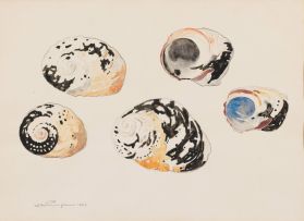 Jacob Hendrik Pierneef; Shells