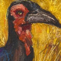 Zakkie Eloff; Ground Hornbill
