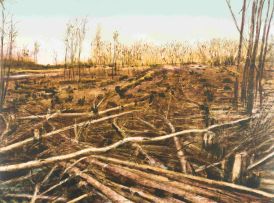 Kim Berman; Stripped Lowveld Plantation I