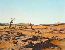Walter Meyer; Namib Desert