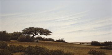 John Meyer; Landscape with Thorn Tree and Birds