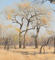 Francois Koch; Bushveld Scene