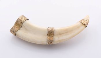 Victorian gold mounted boar's tusk brooch