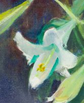 Louis van Heerden; White Lilies