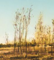 Kim Berman; Stripped, Lowveld Plantation, I