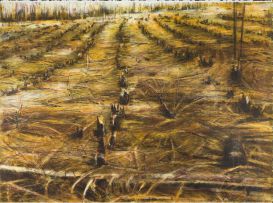 Kim Berman; Stripped, Lowveld Plantation, II