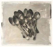 Stephen Inggs; Spoons