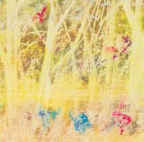 Gordon Vorster; Trees in a Landscape