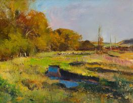 Errol Boyley; Sunny Afternoon Pasturelands, Cavers Farm