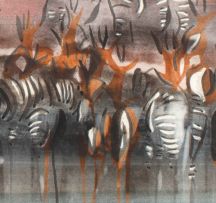 Gordon Vorster; Zebras and Springbok