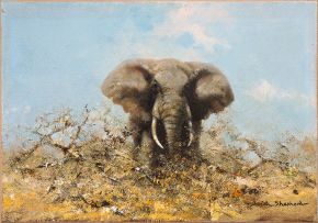 David Shepherd; Bull Elephant