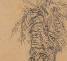 Wolf Kibel; Palm Tree
