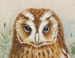 Gordon Beningfield; Tawny Owl (Strix aluco)