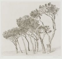 Anton Kannemeyer; Trees