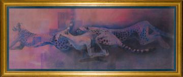 Kim Donaldson; Cheetah Running