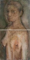 Shany van den Berg; Androgene (Nude), diptych