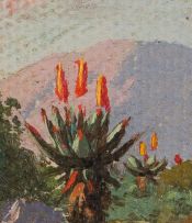 Jan Ernst Abraham Volschenk; Mountain Aloes