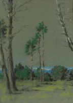Nita Spilhaus; View of Trees