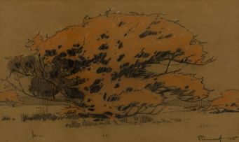 Jacob Hendrik Pierneef; Thorn Trees