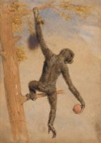Charles Landseer; Studies of Monkeys, three