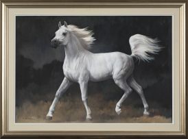 Tony Butler; A White Arabian Horse