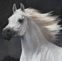 Tony Butler; A White Arabian Horse