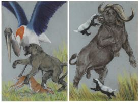 William Timym; Buffalo attached by a Honey Badgers and Baboon, Stork, and Buck, 2