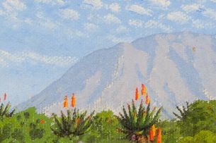 Jan Ernst Abraham Volschenk; A Riversdale Landscape – Rock, Bush and Aloe