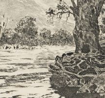 Tinus de Jongh; Bome (Trees), Bergvliet; Cottage, Kirstenbosch; Rhodes Memorial; Berg River, Jonkershoek, Stellenbosch, four