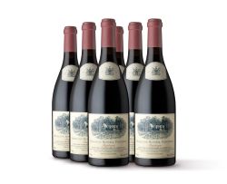 Hamilton Russell Vineyards; Pinot Noir; 2007; 6 (1 x 6); 750ml