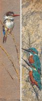 South African School 20th Century; Kingfisher; and Brown Hooded Kingfisher, two