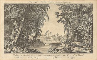 Charles Theodore Middleton; The City of Malacca; and Various Vegetable Productions of the Asiatic Islands in the East Indies, two