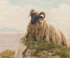 John Robert Keitley Duff; Sheep along the Shoreline